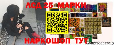 индика Сланцы