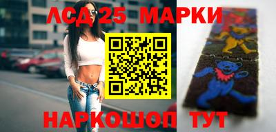 индика Сланцы