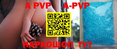 индика Сланцы