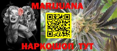 индика Сланцы