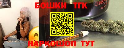 индика Сланцы