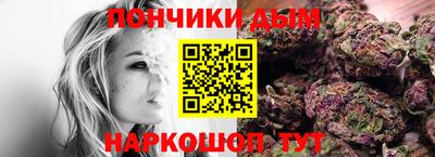 индика Сланцы