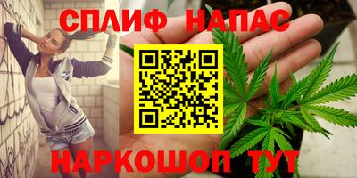 индика Сланцы