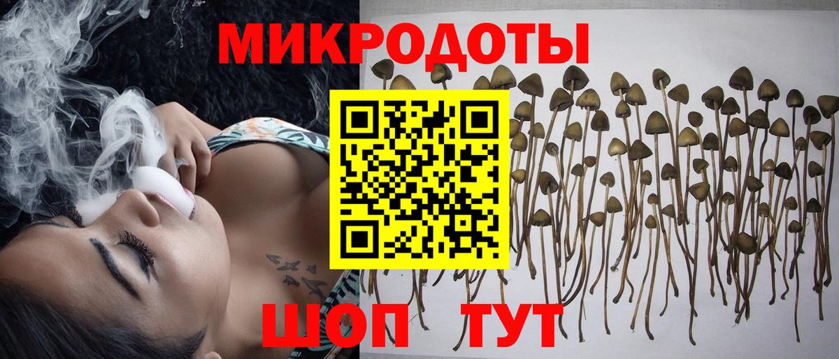 Павловский Посад  Галлюциногенные грибы ЛСД  Вход с VPN 