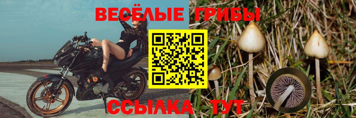 Псилоцибиновые грибы мухоморы Павловский Посад